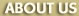 About The Wood Joint
